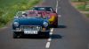 Monte_Cassel_2011-6584.jpg