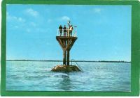 Noirmoutier_288529_-_Le_passage_du_Gois_-_Glou2C_glou___.jpg