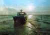 Noirmoutier_288529_-_Passage_du_Gois_-_1.jpg