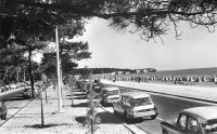 Saint_Georges_de_Didonne_281729_-_Duo_de_Citroen_ID_19_breack.jpg