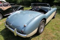 _copie-0_IMG_0817.jpg