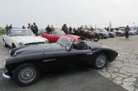 _copie-0_IMG_3204.jpg