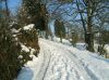 DSCF4454.JPG