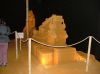 DSCF5379.JPG
