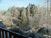 DSCF6179.JPG