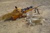 Fox_hunting.jpeg
