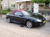 mytfyr6.jpg