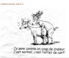cerf06.jpg