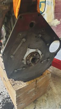 GT253~0.jpg