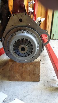 GT262.jpg