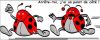 cox.jpg