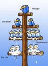 organigramme.jpg