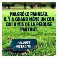 pelouse.jpg