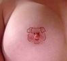 pig.jpg