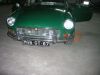 P1010026_2.jpg