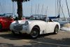 Austin_Healey_Frogeyes_1.JPG