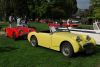 Austin_Healey_Frogeyes_2.JPG