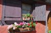 Eguisheim_3-r.JPG