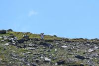 IMG_1263.JPG