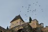 Montfort_3-r.JPG