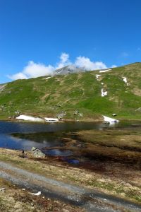 Petit_Saint-Bernard_2.JPG