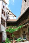 Riquewihr_7-r.JPG