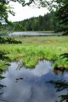 lac_de_Lispach_8-r.JPG