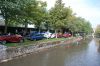parc_3.JPG