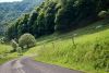route_Auvergne_2.JPG