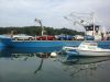 20140906_124220.jpg