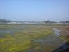 20140909_111145.jpg