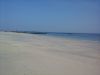 20140912_145455.jpg