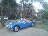 DSC00173.JPG
