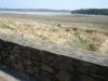 DSC01687.JPG