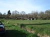 DSC01713.JPG
