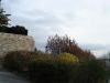 DSC01730.JPG