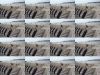 DSC01763.JPG