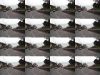 DSC01767.JPG