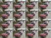 DSC01779.JPG