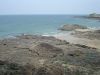 DSC01800.JPG