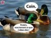 canard.jpg