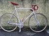 velo13.jpg
