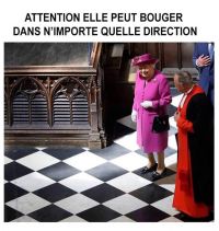 Reine-echecs.jpg