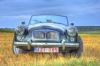 IMG_7742_3_4_tonemapped2.jpg