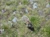 DSC02122_28800x60029.jpg