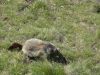 DSC02125_28800x60029.jpg