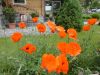 DSC02156_28800x60029.jpg
