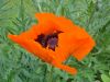 DSC02157_28800x60029.jpg