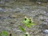 DSC02341-2.jpg
