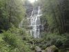 DSC02346-2.jpg